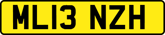 ML13NZH