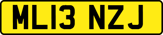 ML13NZJ