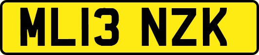ML13NZK