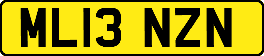 ML13NZN