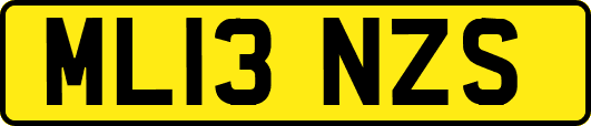 ML13NZS