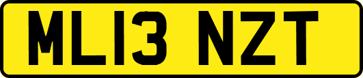 ML13NZT