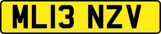ML13NZV