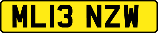 ML13NZW