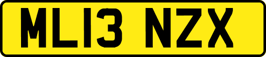 ML13NZX