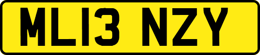 ML13NZY