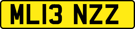 ML13NZZ