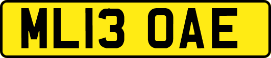 ML13OAE