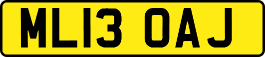 ML13OAJ