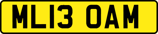 ML13OAM