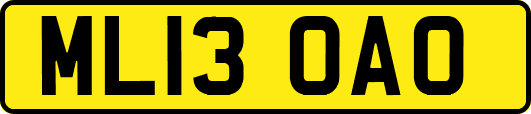 ML13OAO