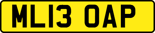 ML13OAP