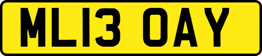 ML13OAY