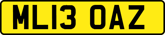 ML13OAZ