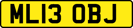 ML13OBJ