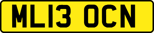 ML13OCN