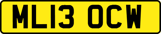 ML13OCW