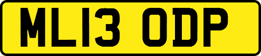 ML13ODP