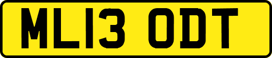 ML13ODT