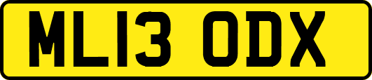 ML13ODX
