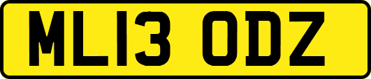 ML13ODZ