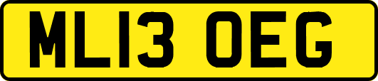 ML13OEG