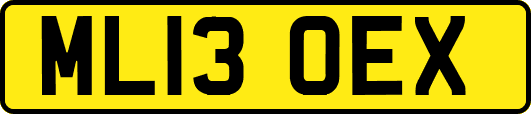 ML13OEX