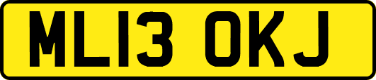 ML13OKJ