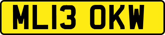 ML13OKW