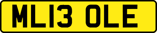ML13OLE