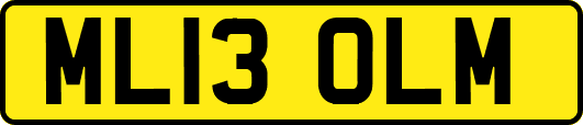 ML13OLM