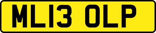 ML13OLP