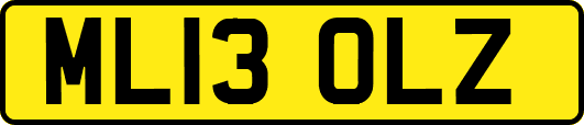ML13OLZ