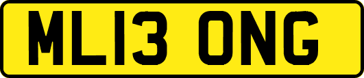 ML13ONG