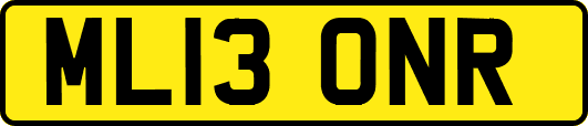 ML13ONR
