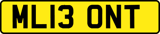 ML13ONT