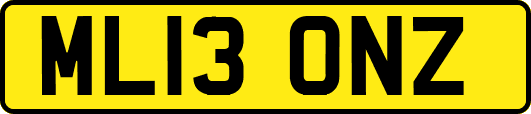 ML13ONZ