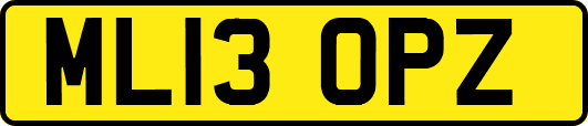 ML13OPZ