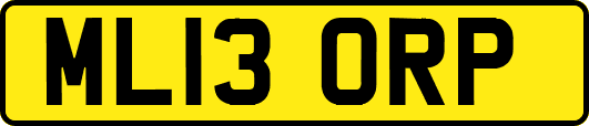 ML13ORP