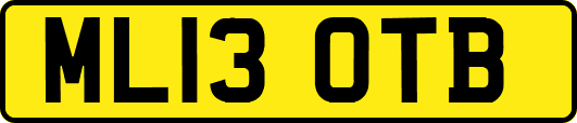 ML13OTB