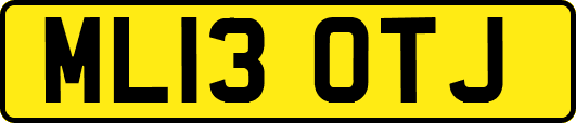 ML13OTJ