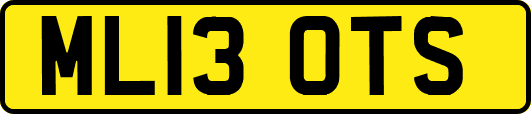 ML13OTS