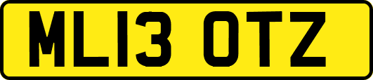 ML13OTZ