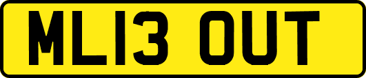 ML13OUT