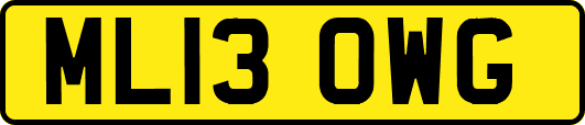 ML13OWG