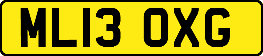 ML13OXG