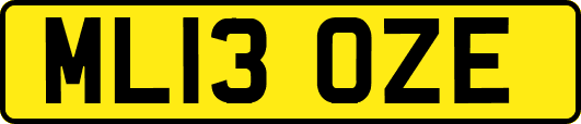 ML13OZE