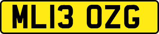 ML13OZG