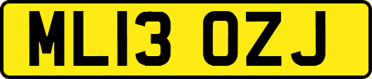 ML13OZJ