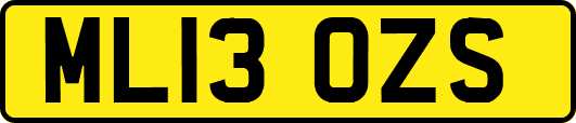 ML13OZS